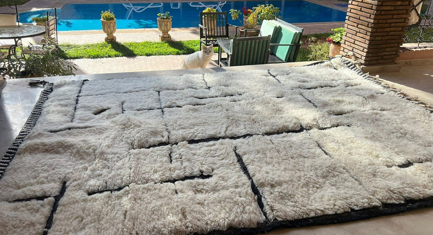 Moroccan rug and cat and pool